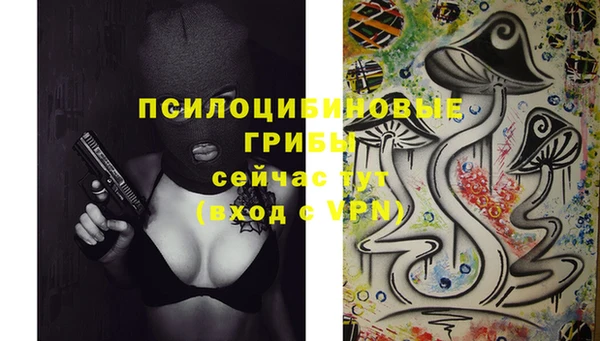 ECSTASY Лиски