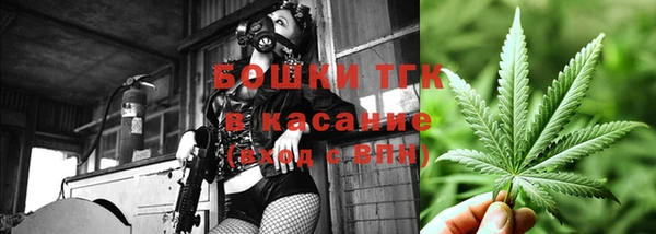 ECSTASY Лиски