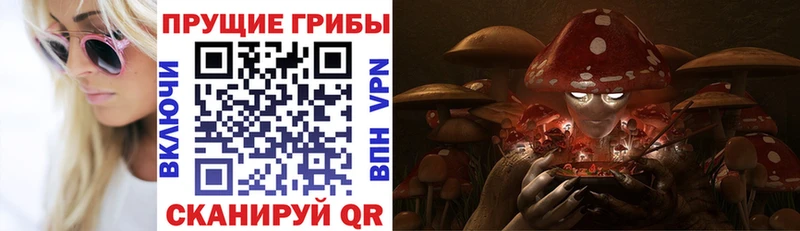 Галлюциногенные грибы мицелий Тейково